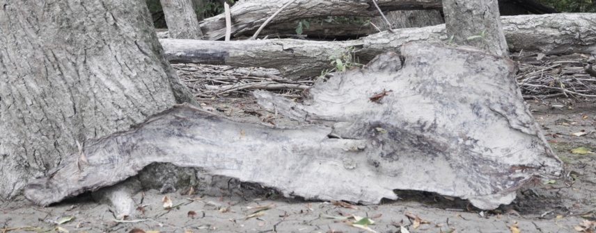 landart-1a-w.jpg