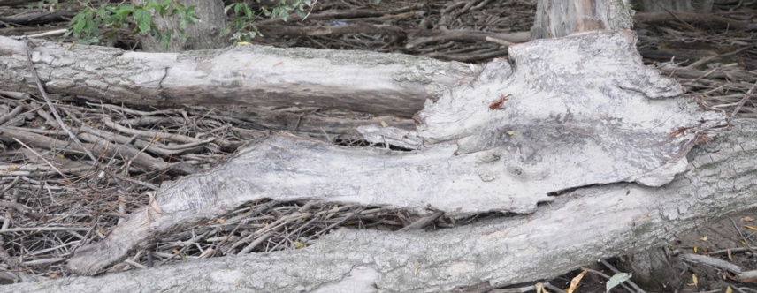 landart-1f-w-.jpg